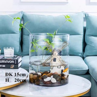 Bình bông lọ hoa thủy tinh trụ tròn, chậu cây thủy sinh, bể cá mini