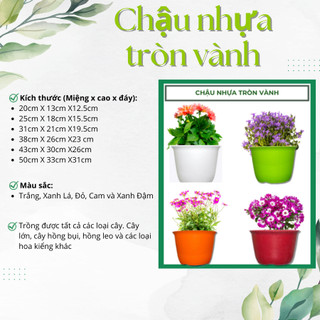 (Combo 3 chậu) Chậu Nhựa Tròn Vành 20cm nhiều màu (M20xC13xD12.5cm) chậu nhựa trồng cây hoa kiểng (Vườn Sài Gòn)