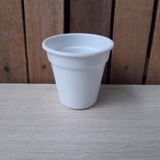 Chậu nhựa tròn bé td8 trồng sen đá, hoa cây cảnh, hoa giấy kích thước đk 8cm x cao 8cm