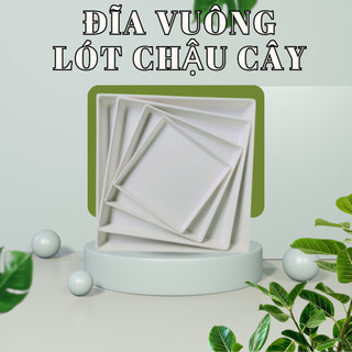 Đĩa nhựa lót chậu vuông 40x40cm, nhựa trắng bền sạch sẽ, hứng nước chậu tránh bẩn sàn (Vườn Sài Gòn)