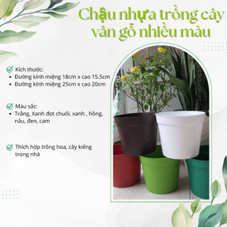 (Combo 5) Chậu nhựa vân gỗ 25 (M25xC20) chậu nhựa dẻo bền rẻ đẹp (Vườn Sài Gòn)
