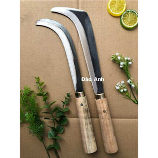 Liềm vệ sinh dừa - ngoặc dừa -hàng đẹp chắc khẻo