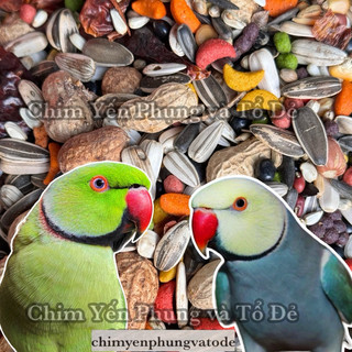 500gr thức ăn hạt hỗn hợp + hạt trái cây cho Vẹt: Xích • Ngực Hồng • Xám (100% hạt tự nhiên).