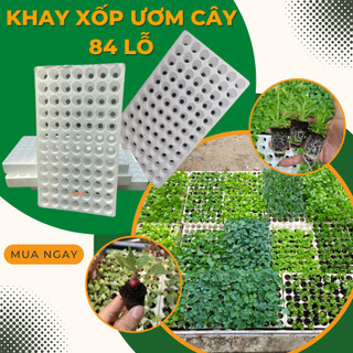 Combo 2 Khay xốp ươm cây 84 lỗ, ươm hạt thoáng khí, rễ cây phát triển đẹp, nhẹ bền