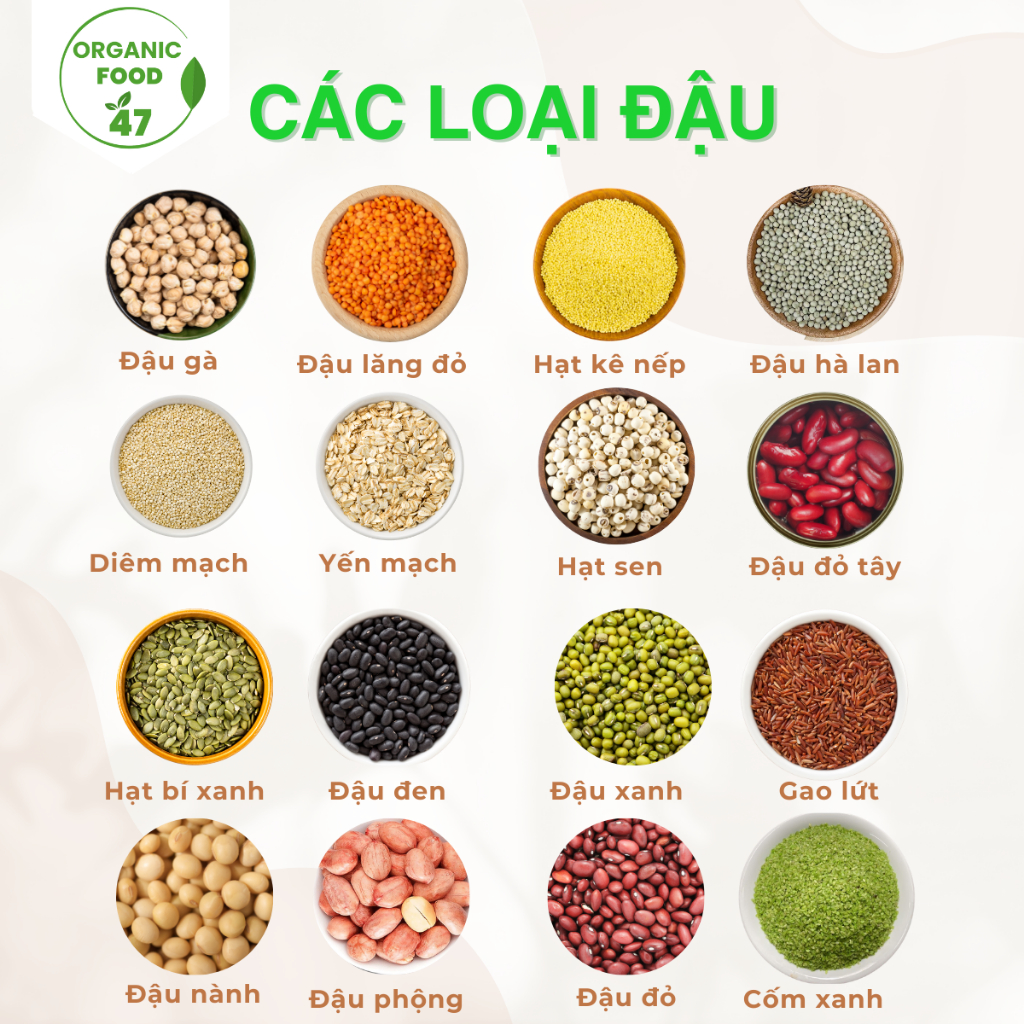 Các loại đậu hạt hữu cơ, hạt ăn dặm cho bé Oganicfood47 cao cấp chất lượng