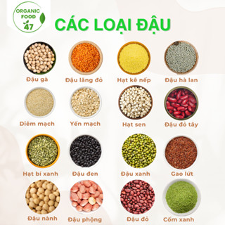 Các loại đậu hạt hữu cơ, hạt ăn dặm cho bé Oganicfood47 cao cấp chất lượng
