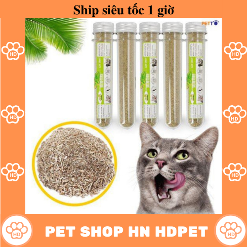 Cỏ Bạc Hà Catnip Cho Mèo