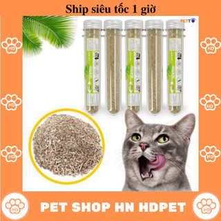 Cỏ Bạc Hà Catnip Cho Mèo