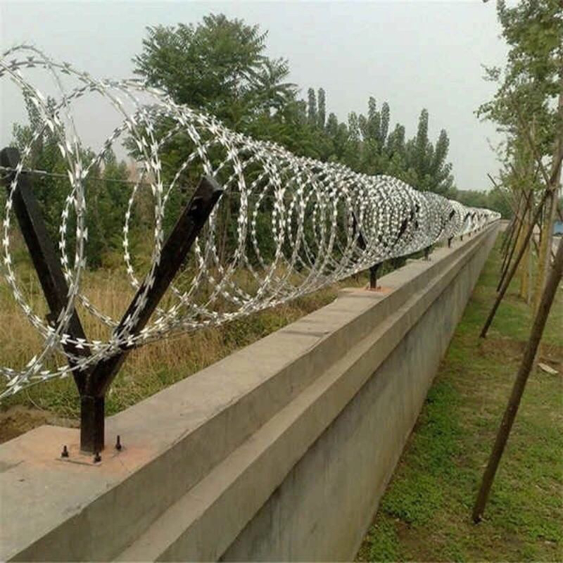 Dây thép gai lưỡi lam bùng nhùng giào tường bao trống chộm có thể cho cây thân leo làm trang trí