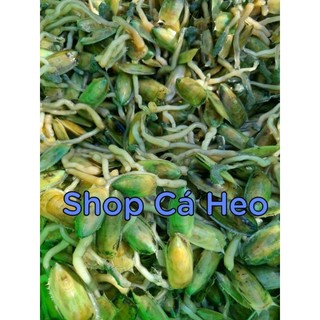 Combo 2 hũ mắm cà xỉu Cá Heo