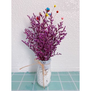 Bó Hoa Đuôi Công thật sấy khô decor