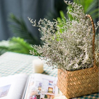 Bó Hoa Đuôi Công thật sấy khô decor