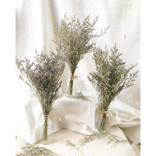 Bó Hoa Đuôi Công thật sấy khô decor