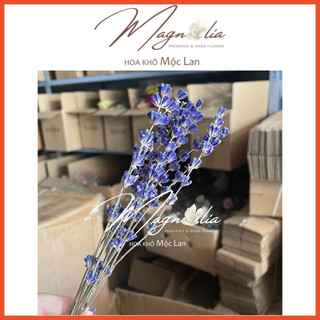 Hoa Lavender khô  ❤️FREESHIP❤️ Hoa khô oải hương hàng loại 1 True Lavender Pháp siêu tím - Lẻ cành đẹp