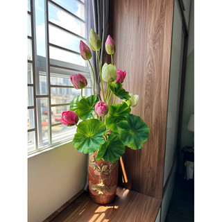Hoa sen quan âm, sen bách diệp 2 bông 1 nụ - hoa sen decor trang trí