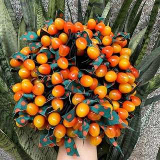 Sỉ Dây Cột Tóc Chery Phong Cách Hàn Quốc Siêu Dễ Thương