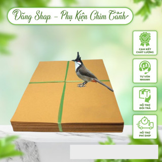 Giấy lót lồng chim chào mào  HÀNG CAO CẤP   Combo 10kg giấy lót lồng vuông đủ các loại size tiện lợi
