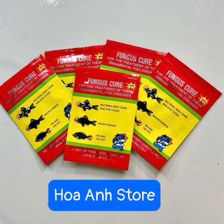 Fungus Cure cá nhiễm khuẩn nấm đục mắt thối rữa vây và đuôi