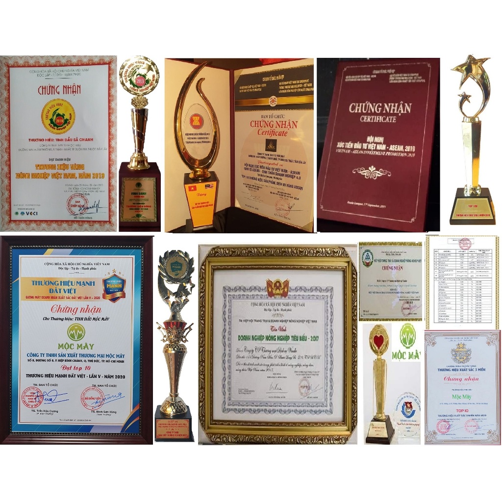 Tinh dầu Ngải Cứu Mộc Mây nguyên chất 100% thiên nhiên, massage, xoa bóp, xông thơm phòng, thư giản