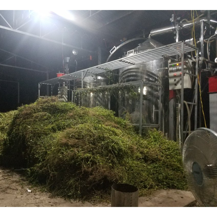 Tinh dầu Ngải Cứu Mộc Mây nguyên chất 100% thiên nhiên, massage, xoa bóp, xông thơm phòng, thư giản