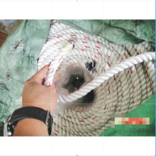 30m Dây thừng, Dây dù cứu sinh [ BỀN BỈ ]  kích cỡ (14mm)