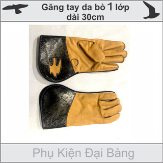 Phụ kiện Chim bồ cắt