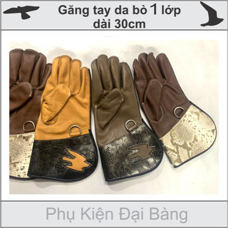 Phụ kiện Chim bồ cắt