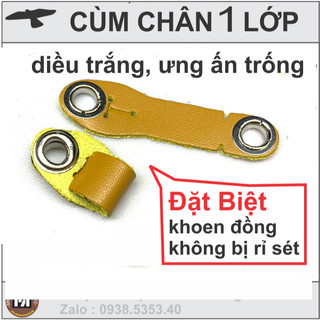 Phụ kiện Chim bồ cắt