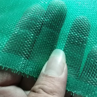 LƯỚI CHẮN CÔN TRÙNG (kích thước 1m,2m) màu xanh, Lưới phơi thóc, Nông sản