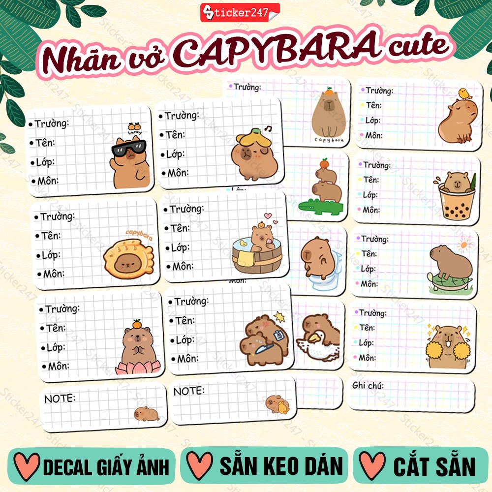 Nhãn Vở Capybara - Giấy Nhãn Capybara Cute, Meme, Classic - Nhãn Vở Cute Dán Tập Vở, Sách Tiện Lợi