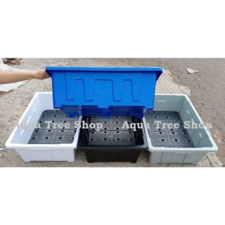 Combo 3 chậu, 5 chậu thông minh 45 lít (D65xR45 cao 22cm)siêu xịn xò, trồng rau sạch, cây cảnh, trồng sen súng tuyệt vời