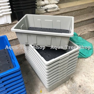 Khay trồng rau thông minh 45 lít (65x45cm cao 22cm), chậu trồng sen súng hàng siêu siêu đẹp luôn