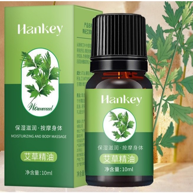 Tinh Dầu Bất kì Gừng, Ngải Cứu, Hoa Mộc Tê,Tràm ,Trà Xanh Thảo Mộc Đuổi Muỗi Xông Phòng Giữ Ấm Thư Giãn 10MLf