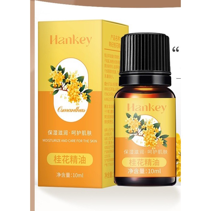 Tinh Dầu Bất kì Gừng, Ngải Cứu, Hoa Mộc Tê,Tràm ,Trà Xanh Thảo Mộc Đuổi Muỗi Xông Phòng Giữ Ấm Thư Giãn 10MLf