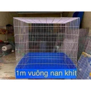  lồng nuôi gà chọi 100*100*100 nan khít 