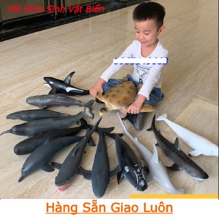  Mô hình con vật biển đồ chơi trẻ em bằng cao su mềm cá voi cá heo rùa cá mập cá sấu 
