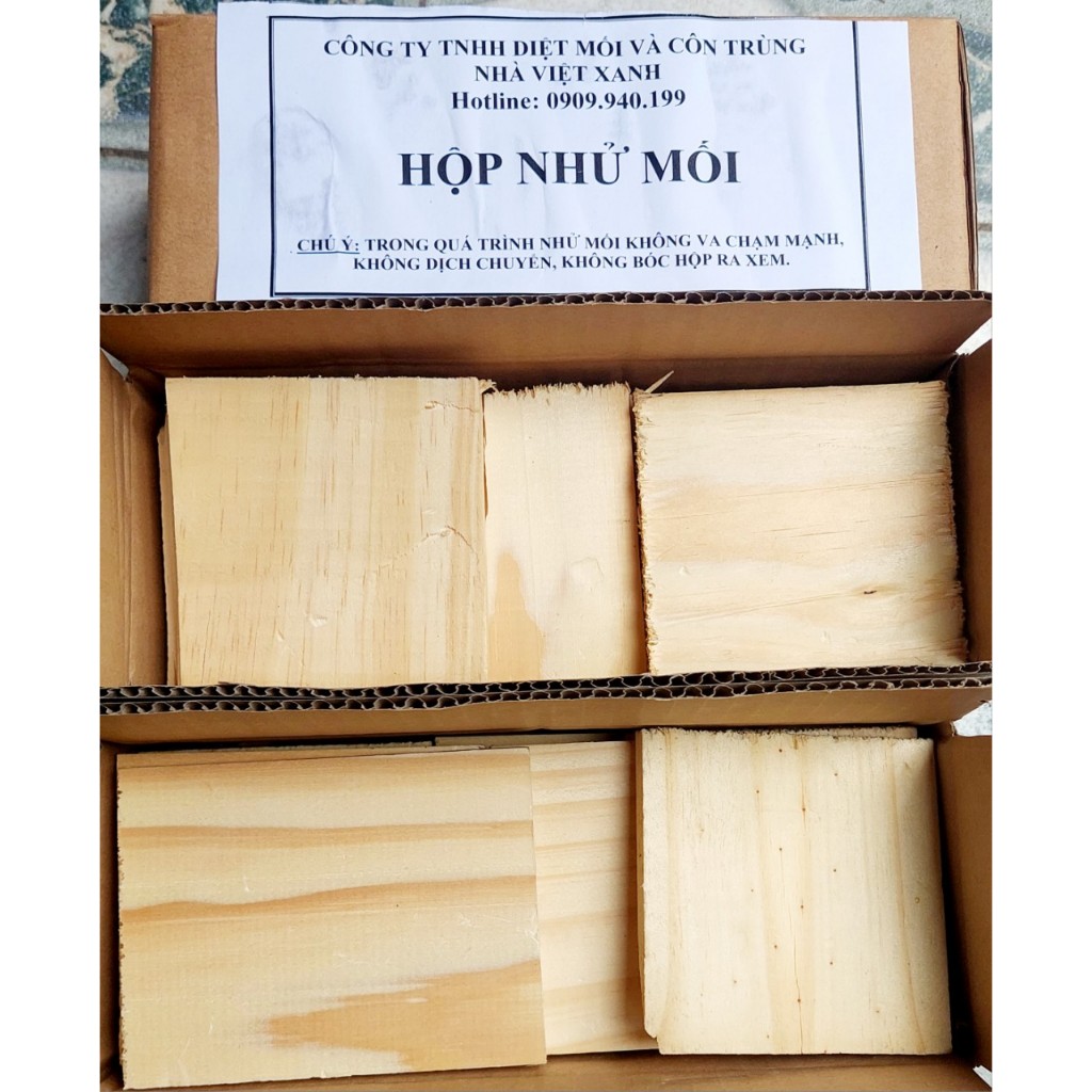 Hộp nhử mối - Hộp bắt mối gỗ thông trắng - Mua kèm thêm thuốc Diệt mối sinh học PMC90