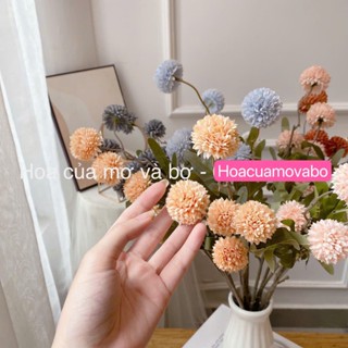 Cụm Mini Pingpong Cao Cấp Mơ Bơ Cành Dài 40-45cm - Hoa Giả Hoa Lụa