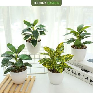 Cây Giả Kèm Chậu Để Bàn, Cây Xanh Mini Trang Trí Nhà Cửa, Cây Giả Decor, Cây Nhân Tạo