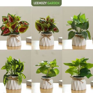 Cây giả kèm chậu để bàn, cây thắt dây decor, cây mini giả, cây decor trang trí nhà cửa
