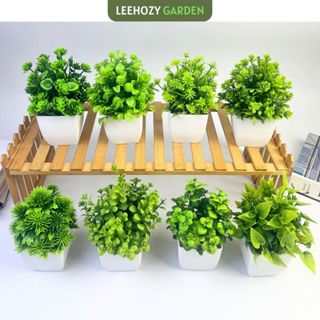 Cây Giả Kèm Chậu Để Bàn, Cây Mini Decor, Trang Trí Nhà Cửa