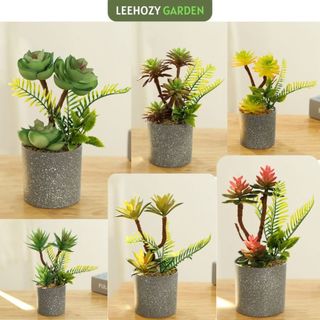 Cây giả kèm chậu để bàn, cây sen đá decor, hoa giả, cây cảnh trang trí nhà cửa