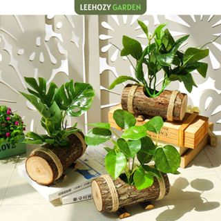 Cây Giả Kèm Chậu Để Bàn, Cây Gỗ Decor, Cây Gỗ Ngang Decor, Cây Decor, Cây Giả Trang Trí Nhà Cửa