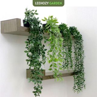 Cây Rủ Lá Nhựa Giả Kèm Chậu Mô Phỏng Trầu Bà Lá Rùa Lá Nho, Lá Cây Xanh Dây Leo Decor, Trang Trí Nhà Cửa Siêu Thật