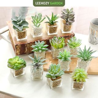 Cây sen đá giả mini kèm chậu thủy tinh thật, sỏi thật cây nhân tạo bằng nhựa dùng trang trí decor trang trí bàn làm việc