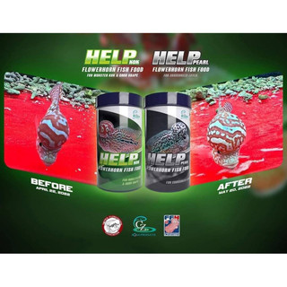 Thức ăn lên đầu cho cá la hán - Cz1 Help Kok 100g (Hàng Thái Lan)
