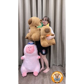 Gấu Bông Capybara Bóng Chày, Balo Rùa, Sinh Nhật siêu đáng yêu