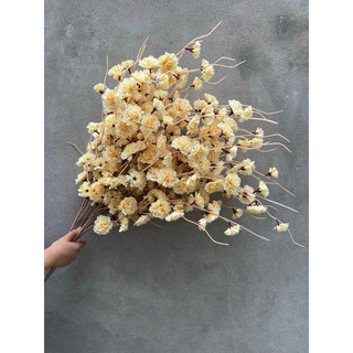 lcành đào râu trang trí hoa vải lụa