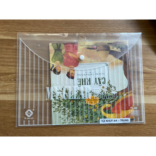 Set 10 Túi clear bag My Clear