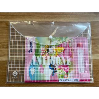 Set 10 Túi clear bag My Clear